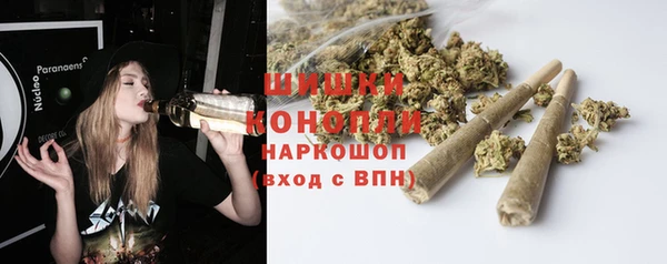 ALPHA PVP Бородино