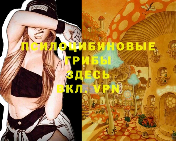 стафф Верея